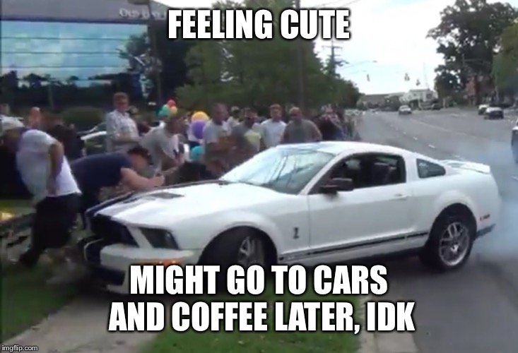 Mustang crash into crowd | FEELING CUTE; MIGHT GO TO CARS AND COFFEE LATER, IDK | image tagged in mustang crash into crowd | made w/ Imgflip meme maker