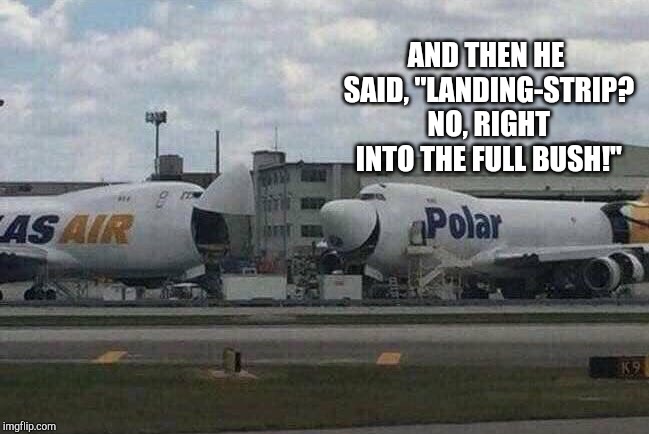 Dirty airplane jokes | AND THEN HE SAID, "LANDING-STRIP? NO, RIGHT INTO THE FULL BUSH!" | image tagged in airplane,plane,airport,pipe_picasso,laughing,joke | made w/ Imgflip meme maker