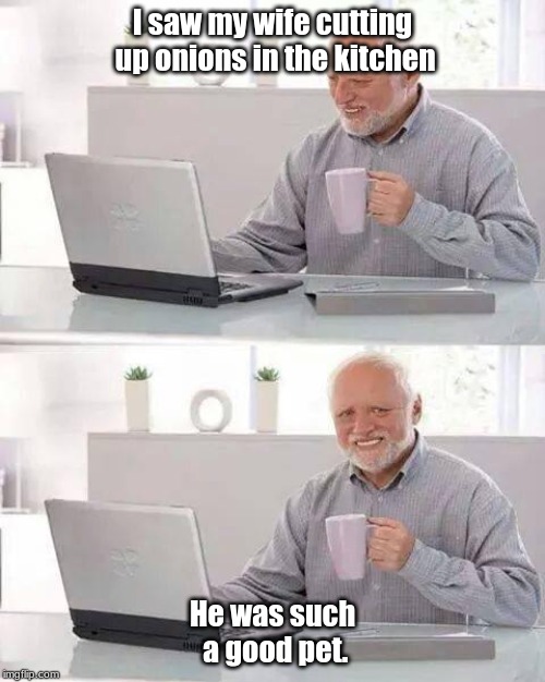 Hide the Pain Harold | I saw my wife cutting up onions in the kitchen; He was such a good pet. | image tagged in memes,hide the pain harold | made w/ Imgflip meme maker