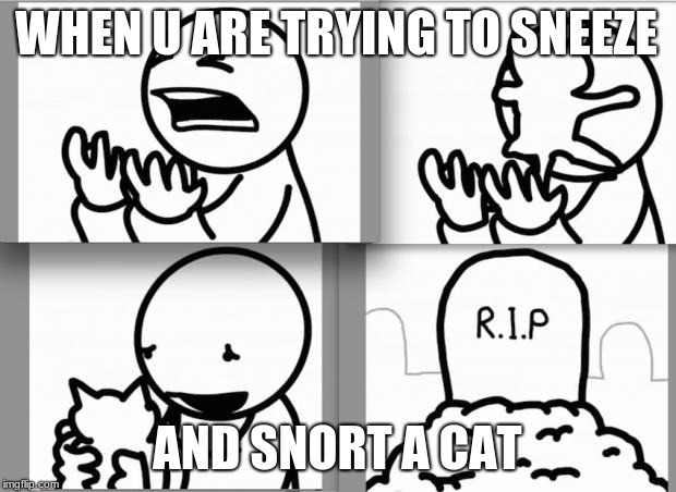 ASDF kitten | WHEN U ARE TRYING TO SNEEZE; AND SNORT A CAT | image tagged in asdf kitten | made w/ Imgflip meme maker