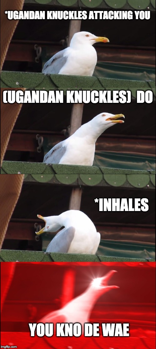 Inhaling Seagull | *UGANDAN KNUCKLES ATTACKING YOU; (UGANDAN KNUCKLES)
 DO; *INHALES; YOU KNO DE WAE | image tagged in memes,inhaling seagull | made w/ Imgflip meme maker