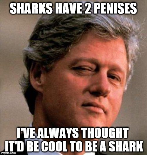 Bill Clinton Wink | SHARKS HAVE 2 P**ISES I'VE ALWAYS THOUGHT IT'D BE COOL TO BE A SHARK | image tagged in bill clinton wink | made w/ Imgflip meme maker