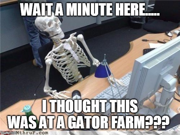 Waiting skeleton | WAIT A MINUTE HERE..... I THOUGHT THIS WAS AT A GATOR FARM??? | image tagged in waiting skeleton | made w/ Imgflip meme maker