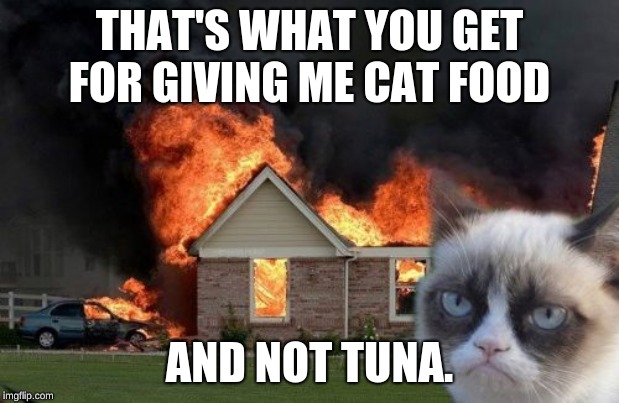 revenge | THAT'S WHAT YOU GET FOR GIVING ME CAT FOOD; AND NOT TUNA. | image tagged in memes,burn kitty,grumpy cat | made w/ Imgflip meme maker