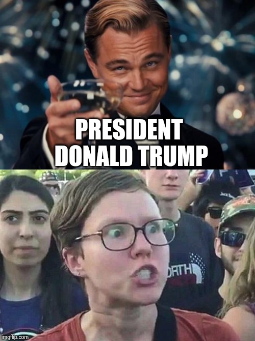 PRESIDENT DONALD TRUMP | image tagged in memes,leonardo dicaprio cheers,triggered liberal | made w/ Imgflip meme maker