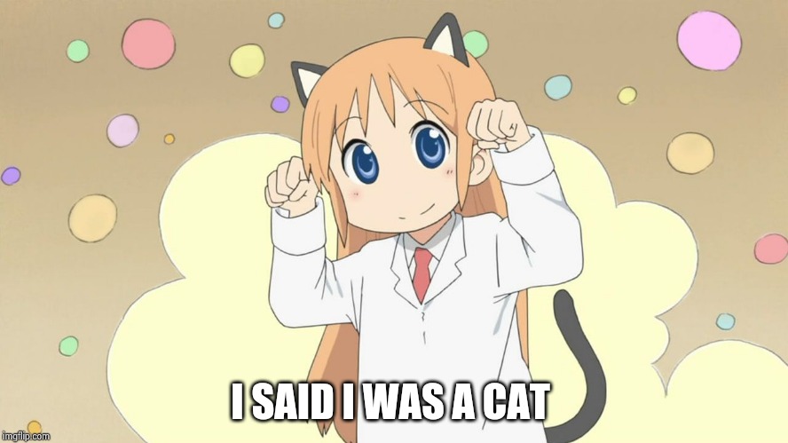 hakase da nya catgirl anime | I SAID I WAS A CAT | image tagged in hakase da nya catgirl anime | made w/ Imgflip meme maker