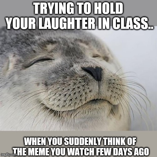 Satisfied Seal Meme | TRYING TO HOLD YOUR LAUGHTER IN CLASS.. WHEN YOU SUDDENLY THINK OF THE MEME YOU WATCH FEW DAYS AGO | image tagged in memes,satisfied seal | made w/ Imgflip meme maker