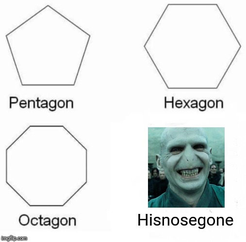Stop and smell the flowers... Oh, wait ;-) | Hisnosegone | image tagged in memes,pentagon hexagon octagon,lord voldemort,voldemort grin | made w/ Imgflip meme maker