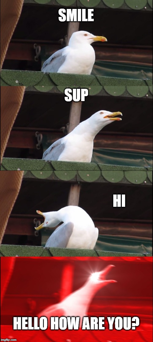 Inhaling Seagull Meme | SMILE; SUP; HI; HELLO HOW ARE YOU? | image tagged in memes,inhaling seagull | made w/ Imgflip meme maker