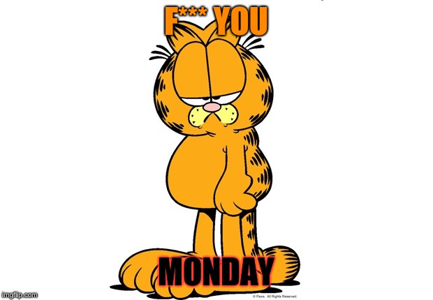 Grumpy Garfield | F*** YOU; MONDAY | image tagged in grumpy garfield | made w/ Imgflip meme maker