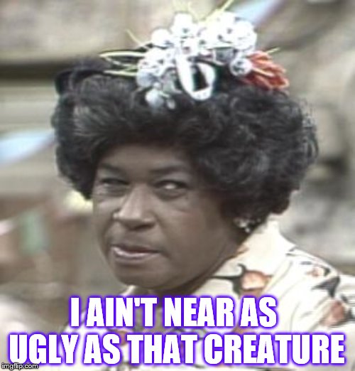 AUNT ESTHER | I AIN'T NEAR AS UGLY AS THAT CREATURE | image tagged in aunt esther | made w/ Imgflip meme maker