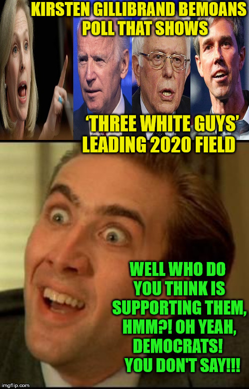 #WhiteMenToo | KIRSTEN GILLIBRAND BEMOANS           POLL THAT SHOWS; ‘THREE WHITE GUYS’ LEADING 2020 FIELD; WELL WHO DO YOU THINK IS SUPPORTING THEM, HMM?! OH YEAH, DEMOCRATS!    YOU DON'T SAY!!! | image tagged in you dont say,2020 elections,poll,memes,democrats,white man | made w/ Imgflip meme maker