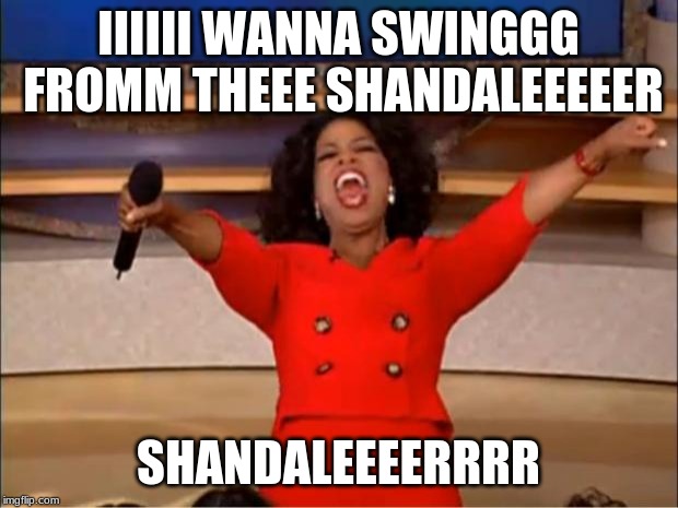 Oprah You Get A | IIIIII WANNA SWINGGG FROMM THEEE SHANDALEEEEER; SHANDALEEEERRRR | image tagged in memes,oprah you get a | made w/ Imgflip meme maker