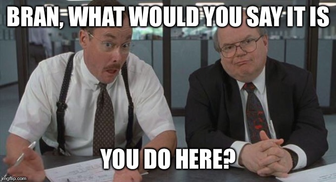 office space what do you do here | BRAN, WHAT WOULD YOU SAY IT IS; YOU DO HERE? | image tagged in office space what do you do here | made w/ Imgflip meme maker