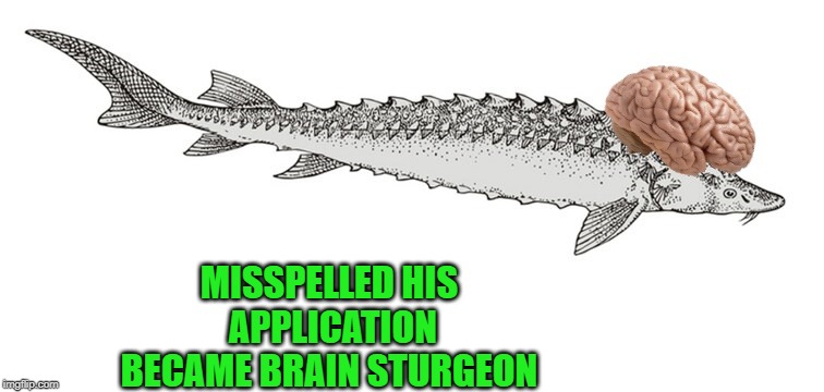 MISSPELLED HIS APPLICATION BECAME BRAIN STURGEON | made w/ Imgflip meme maker