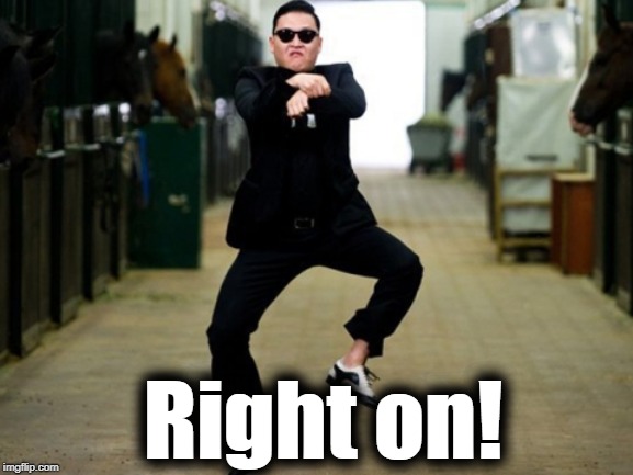 Psy Horse Dance Meme | Right on! | image tagged in memes,psy horse dance | made w/ Imgflip meme maker