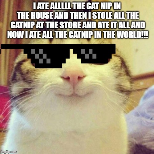 Smiling Cat Meme | I ATE ALLLLL THE CAT NIP IN THE HOUSE AND THEN I STOLE ALL THE CATNIP AT THE STORE AND ATE IT ALL AND NOW I ATE ALL THE CATNIP IN THE WORLD!!! | image tagged in memes,smiling cat | made w/ Imgflip meme maker