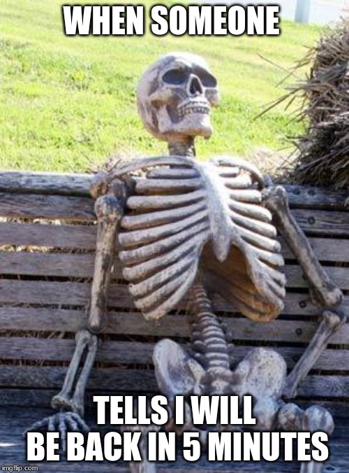 Waiting Skeleton | WHEN SOMEONE; TELLS I WILL BE BACK IN 5 MINUTES | image tagged in memes,waiting skeleton | made w/ Imgflip meme maker