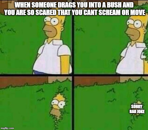 Homer Simpson in Bush - Large | WHEN SOMEONE DRAGS YOU INTO A BUSH AND YOU ARE SO SCARED THAT YOU CANT SCREAM OR MOVE; SORRY BAD JOKE | image tagged in homer simpson in bush - large | made w/ Imgflip meme maker