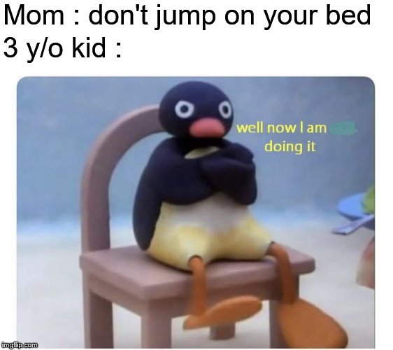 well now I am not doing it | Mom : don't jump on your bed; 3 y/o kid : | image tagged in well now i am not doing it | made w/ Imgflip meme maker