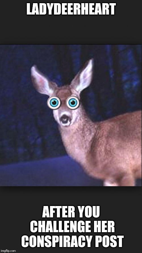 deer in headlights | LADYDEERHEART AFTER YOU CHALLENGE HER CONSPIRACY POST | image tagged in deer in headlights | made w/ Imgflip meme maker