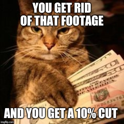 Gangster Cat | YOU GET RID OF THAT FOOTAGE AND YOU GET A 10% CUT | image tagged in gangster cat | made w/ Imgflip meme maker