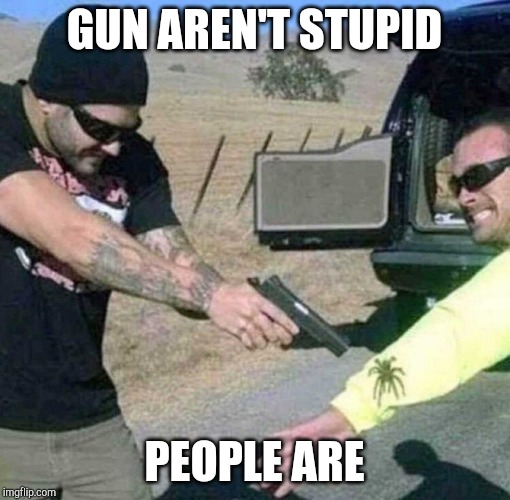 GUN AREN'T STUPID PEOPLE ARE | made w/ Imgflip meme maker