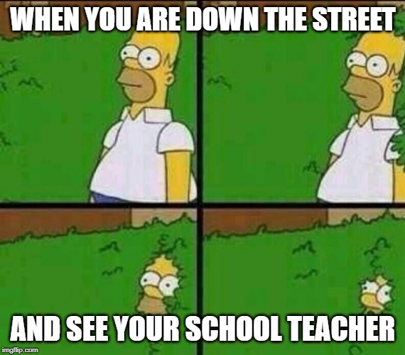 Homer Simpson in Bush - Large | WHEN YOU ARE DOWN THE STREET; AND SEE YOUR SCHOOL TEACHER | image tagged in homer simpson in bush - large,memes,school,fun | made w/ Imgflip meme maker