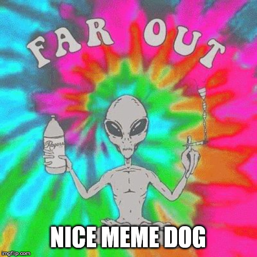 Pot heads | NICE MEME DOG | image tagged in pot heads | made w/ Imgflip meme maker