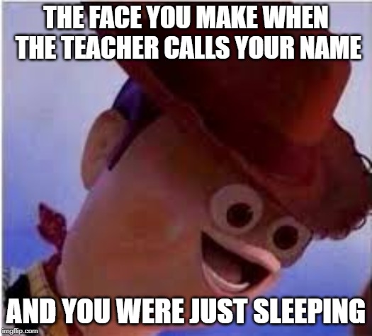 Derp Woody | THE FACE YOU MAKE WHEN THE TEACHER CALLS YOUR NAME; AND YOU WERE JUST SLEEPING | image tagged in derp woody | made w/ Imgflip meme maker