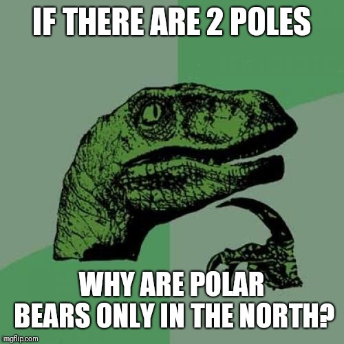 Philosoraptor | IF THERE ARE 2 POLES; WHY ARE POLAR BEARS ONLY IN THE NORTH? | image tagged in memes,philosoraptor | made w/ Imgflip meme maker