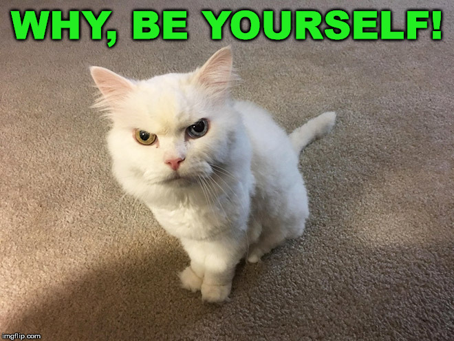 hate cat | WHY, BE YOURSELF! | image tagged in hate cat | made w/ Imgflip meme maker