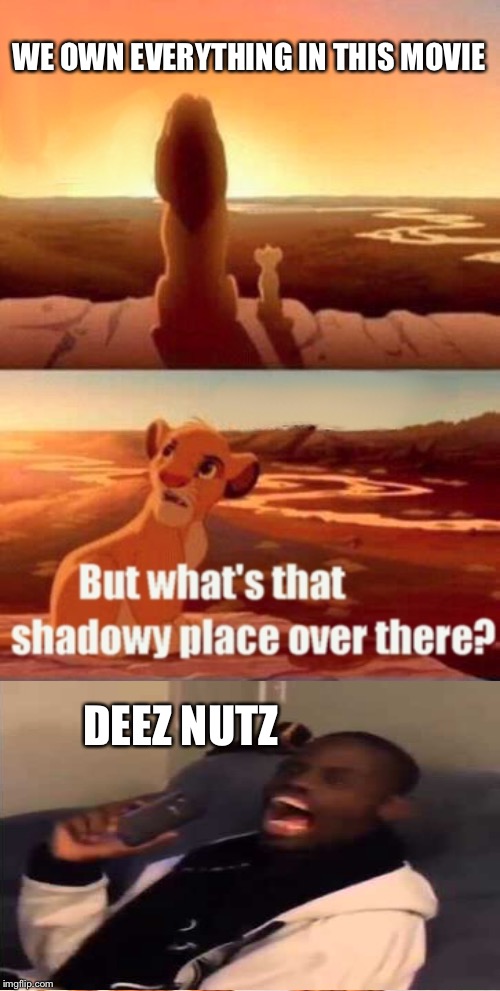 Simba Shadowy Place Meme | WE OWN EVERYTHING IN THIS MOVIE; DEEZ NUTZ | image tagged in memes,simba shadowy place | made w/ Imgflip meme maker