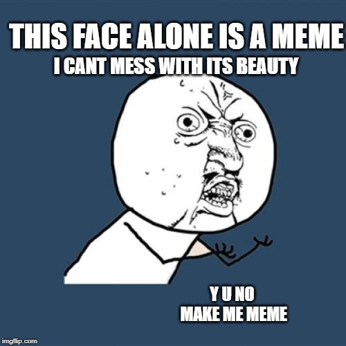 Y U No Meme | THIS FACE ALONE IS A MEME; I CANT MESS WITH ITS BEAUTY; Y U NO MAKE ME MEME | image tagged in memes,y u no | made w/ Imgflip meme maker