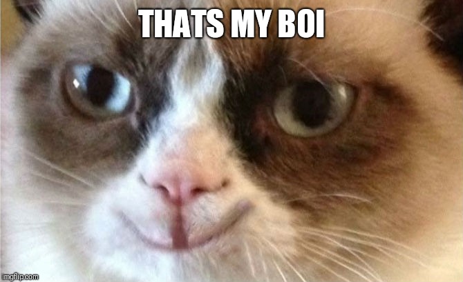 Grumpy Cat happy | THATS MY BOI | image tagged in grumpy cat happy | made w/ Imgflip meme maker