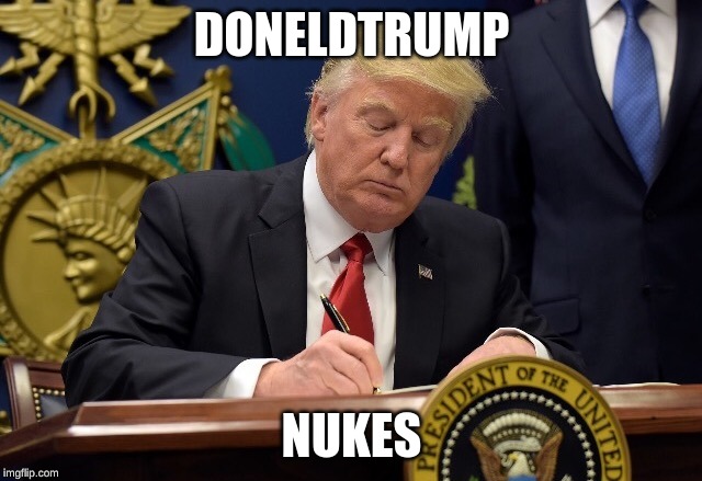 DONELD DRAWING A BEAUTIFUL FLOWER WITH A LITTLE BEE ON TOP | DONELDTRUMP; NUKES | image tagged in doneld drawing a beautiful flower with a little bee on top | made w/ Imgflip meme maker