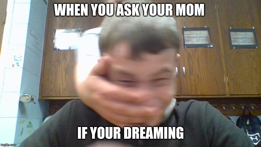 Ethan Slapped By Michael | WHEN YOU ASK YOUR MOM; IF YOUR DREAMING | image tagged in ethan slapped by michael | made w/ Imgflip meme maker