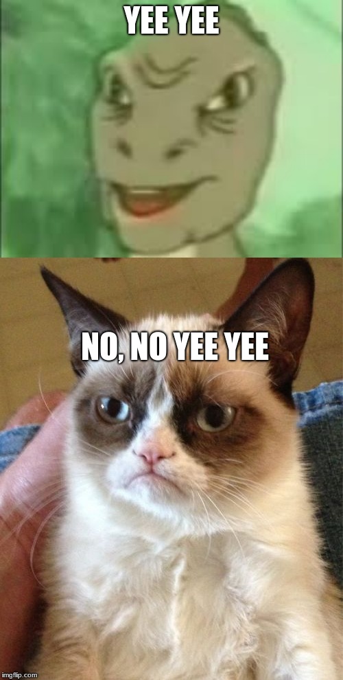 YEE YEE; NO, NO YEE YEE | image tagged in memes,grumpy cat | made w/ Imgflip meme maker