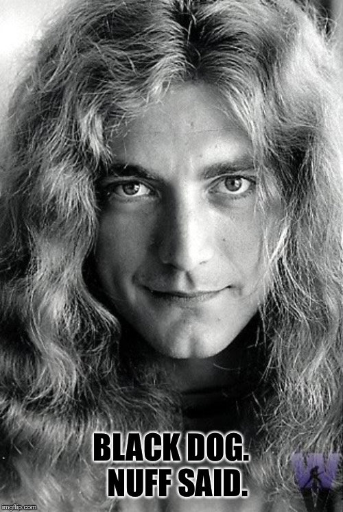 Robert Plant (Led Zeppelin) | BLACK DOG.  NUFF SAID. | image tagged in robert plant led zeppelin | made w/ Imgflip meme maker