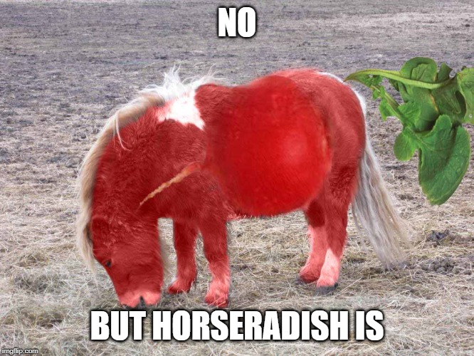 NO BUT HORSERADISH IS | made w/ Imgflip meme maker