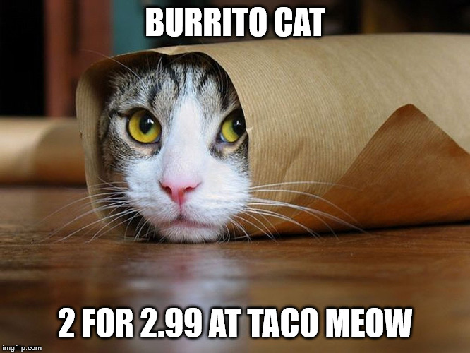 BURRITO CAT; 2 FOR 2.99 AT TACO MEOW | image tagged in cat,cats,funny cats,cat memes,taco bell,lolcats | made w/ Imgflip meme maker