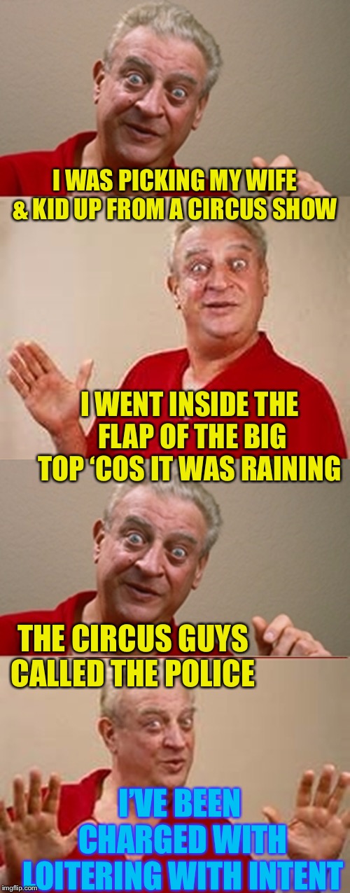 Just the ticket. | I WAS PICKING MY WIFE & KID UP FROM A CIRCUS SHOW; I WENT INSIDE THE FLAP OF THE BIG TOP ‘COS IT WAS RAINING; THE CIRCUS GUYS CALLED THE POLICE; I’VE BEEN CHARGED WITH LOITERING WITH INTENT | image tagged in bad pun rodney dangerfield,circus,law,police,tent | made w/ Imgflip meme maker