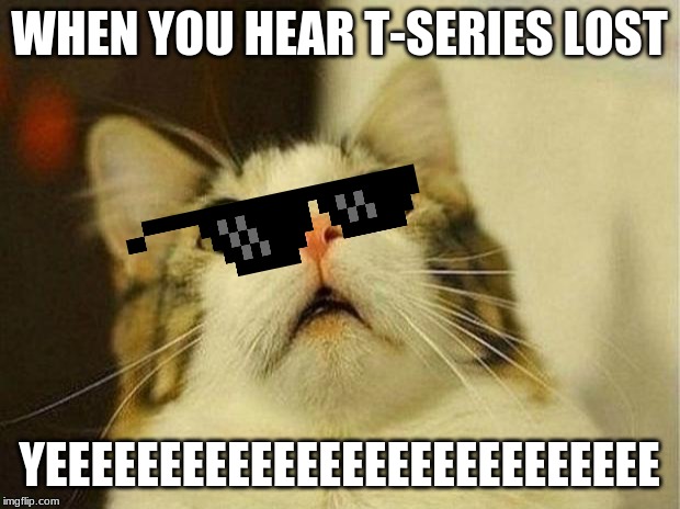 Scared Cat | WHEN YOU HEAR T-SERIES LOST; YEEEEEEEEEEEEEEEEEEEEEEEEEEE | image tagged in memes,scared cat | made w/ Imgflip meme maker