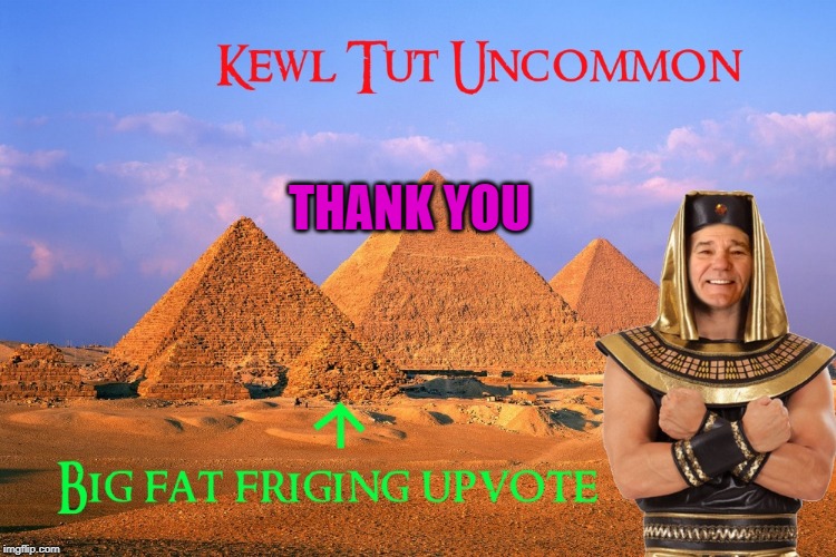 kewl tut uncommon | THANK YOU | image tagged in kewl tut uncommon | made w/ Imgflip meme maker