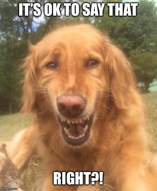 Awkward Smile Dog | IT’S OK TO SAY THAT RIGHT?! | image tagged in awkward smile dog | made w/ Imgflip meme maker