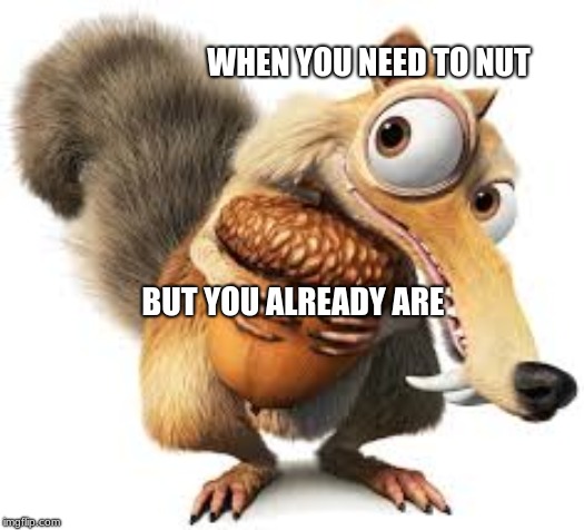 That Ice Age Squirrel | WHEN YOU NEED TO NUT; BUT YOU ALREADY ARE | image tagged in makesnosense | made w/ Imgflip meme maker