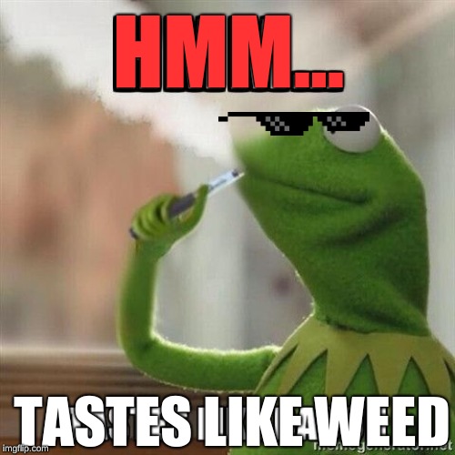 Kermit memes | HMM... TASTES LIKE WEED | image tagged in kermit memes | made w/ Imgflip meme maker
