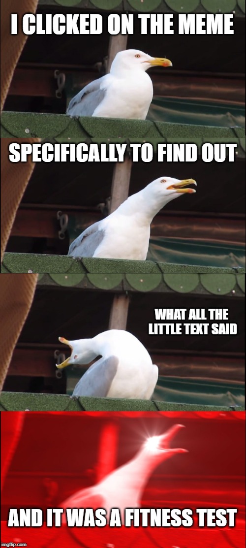 Inhaling Seagull Meme | I CLICKED ON THE MEME SPECIFICALLY TO FIND OUT WHAT ALL THE LITTLE TEXT SAID AND IT WAS A FITNESS TEST | image tagged in memes,inhaling seagull | made w/ Imgflip meme maker