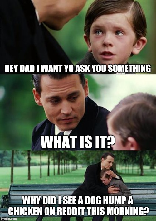 Finding Neverland Meme | HEY DAD I WANT YO ASK YOU SOMETHING; WHAT IS IT? WHY DID I SEE A DOG HUMP A CHICKEN ON REDDIT THIS MORNING? | image tagged in memes,finding neverland | made w/ Imgflip meme maker