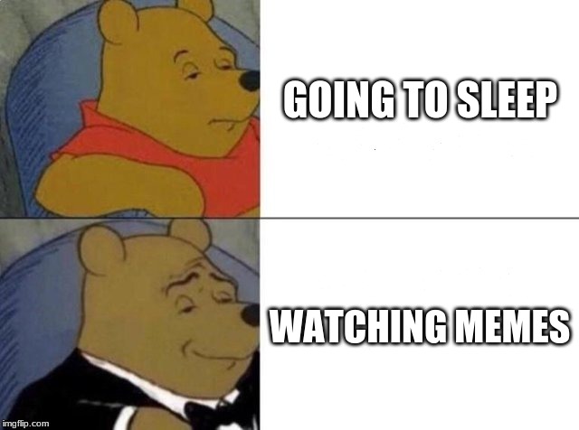 Tuxedo Winnie The Pooh Meme | GOING TO SLEEP; WATCHING MEMES | image tagged in tuxedo winnie the pooh | made w/ Imgflip meme maker